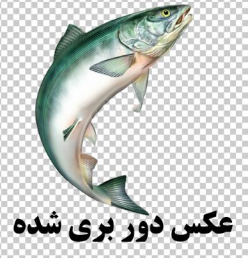 عکس png ماهی